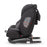 Coccolle Κάθισμα Αυτοκινήτου Smart Baby 360ᵒ 0-36kg Nova Diamond Black