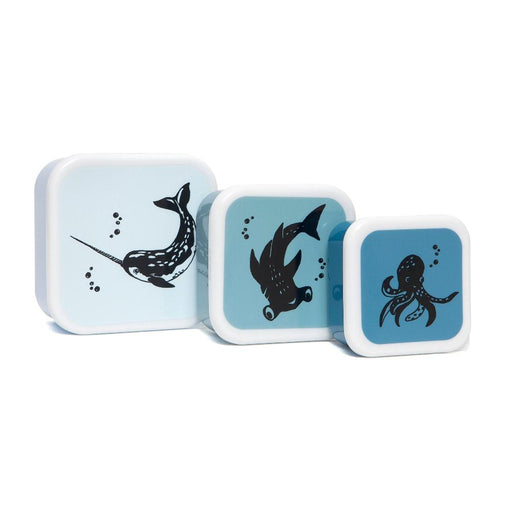 Petit Monkey – Lunch Box Set Sea Animals