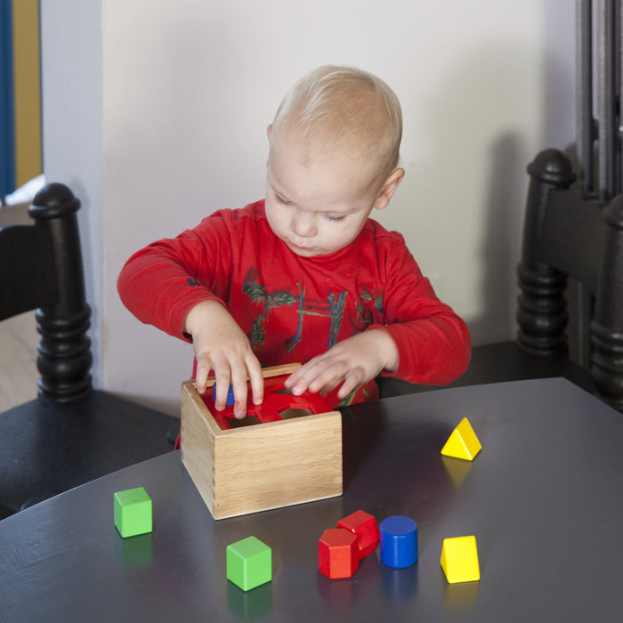 New Classic Toys - Shape Sorting Cube