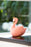 Πλαστικός Κουμπαράς Swan Peach (15x18 εκ)