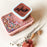 Petit Monkey - Lunch Box desert rose + soft coral