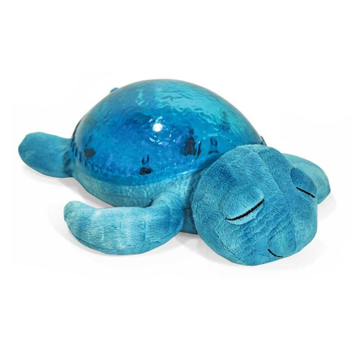 Cloud B: Tranquil Turtle - Aqua